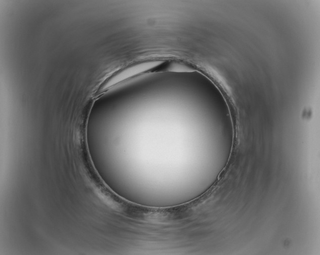 X0000097640105200803142056