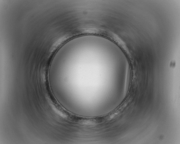 X0000097640106200803142056