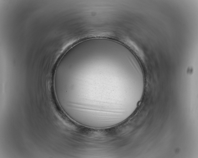 X0000097640107200803142056