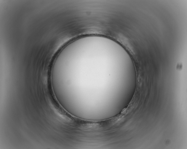 X0000097640108200803142056