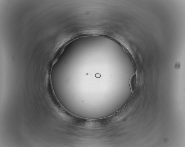 X0000097640109200803142056