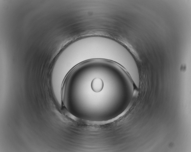 X0000097640110200803142056