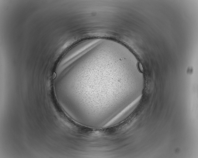 X0000097640111200803142056