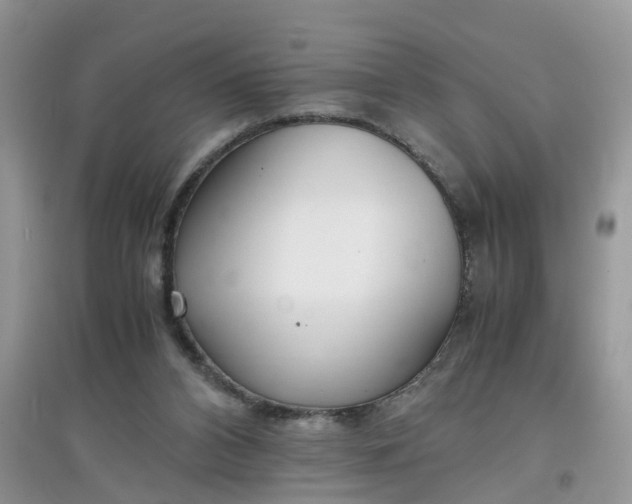 X0000097640112200803142056