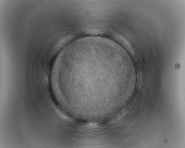 X0000097640114200803142056