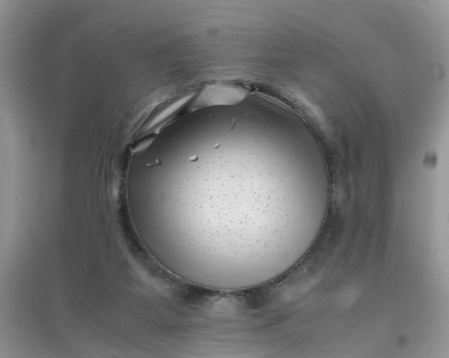 X0000097640115200803142056