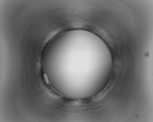 X0000097640116200803142056