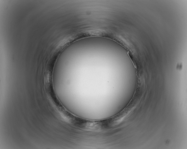 X0000097640117200803142056