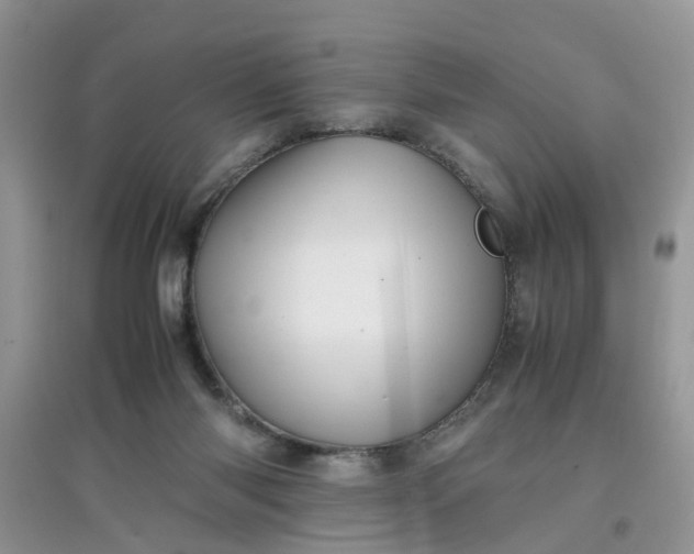 X0000097640118200803142056