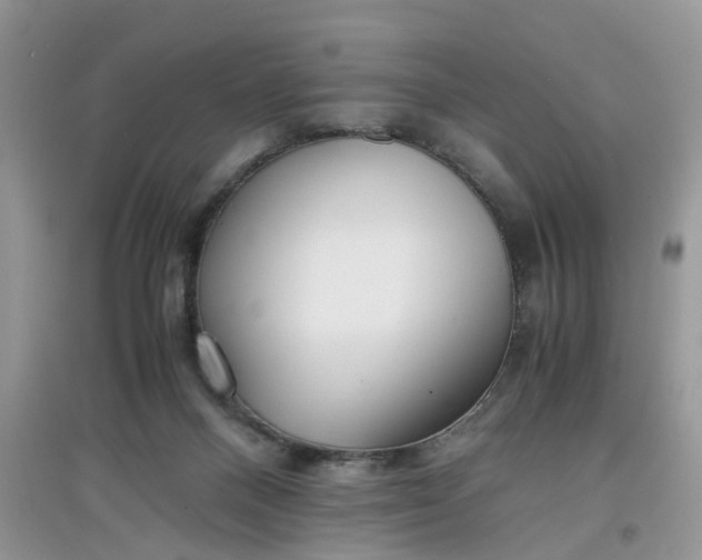 X0000097640120200803142056