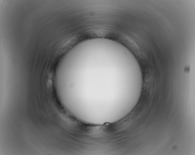 X0000097640122200803142056