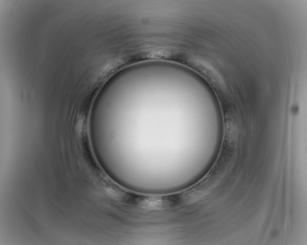 X0000097640123200803142056