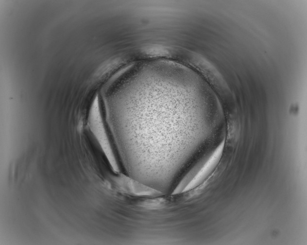 X0000097640124200803142056