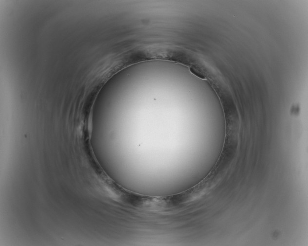 X0000097640125200803142056