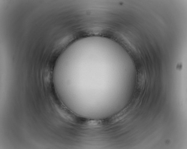 X0000097640126200803142056