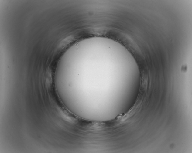 X0000097640128200803142056