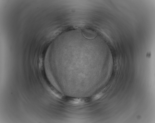 X0000097640130200803142055