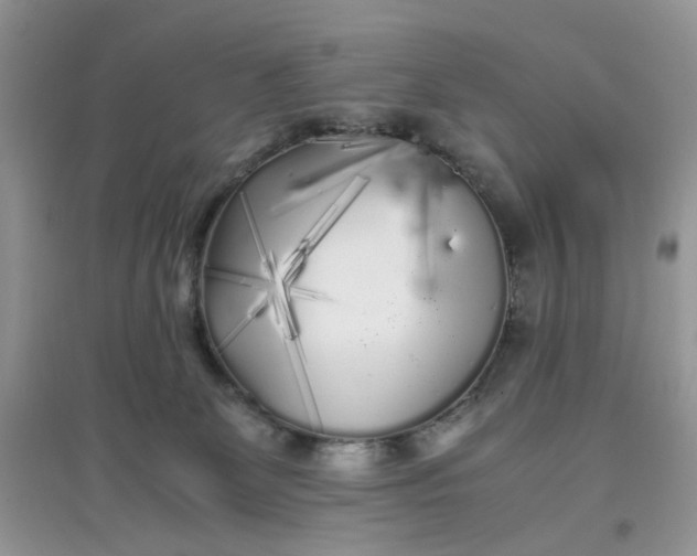 X0000097640131200803142055