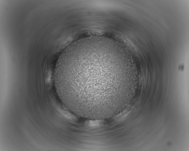 X0000097640134200803142055