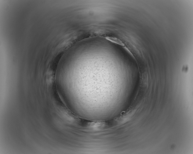 X0000097640135200803142055