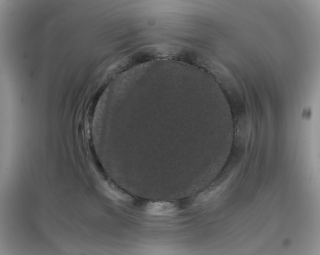 X0000097640137200803142055