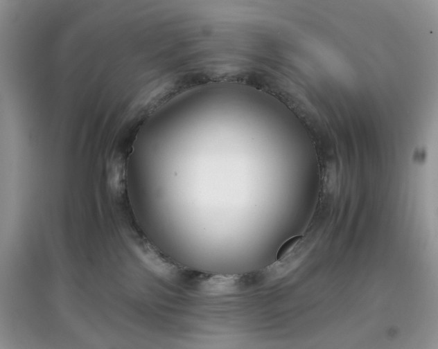 X0000097640138200803142055