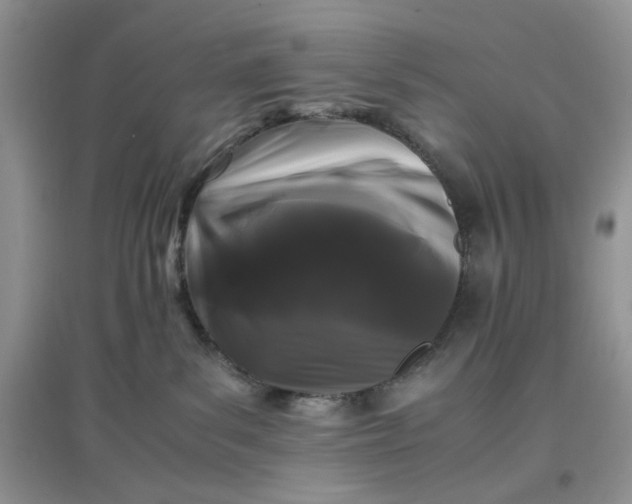 X0000097640139200803142055