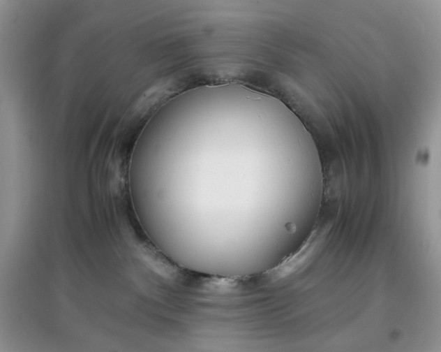 X0000097640140200803142055