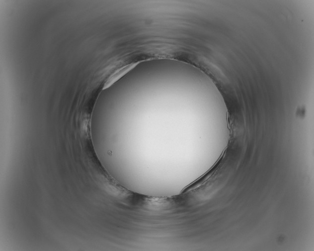 X0000097640141200803142055