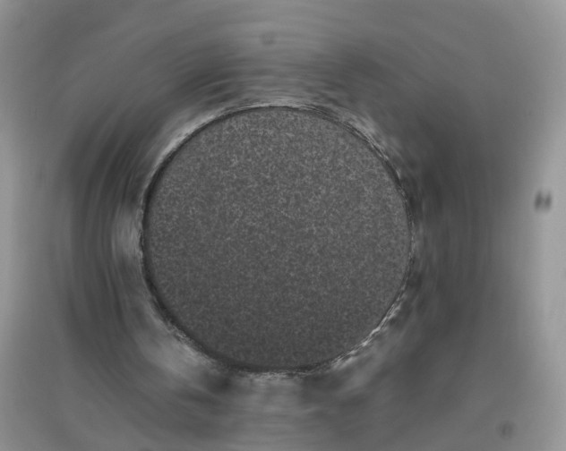 X0000097640146200803142054