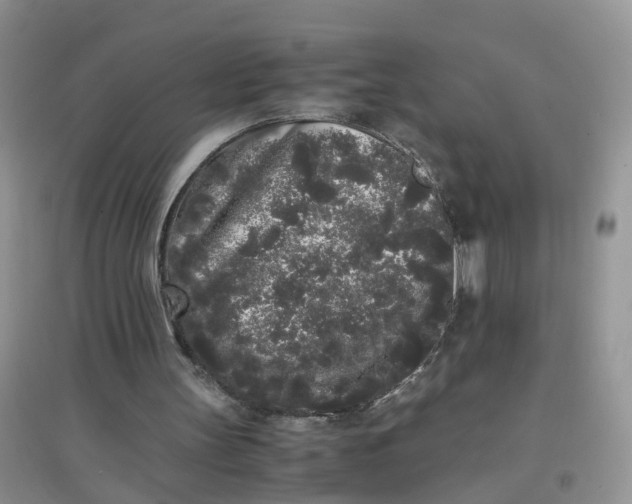 X0000097640147200803142054