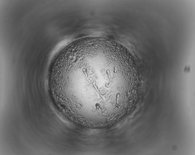 X0000097640149200803142055