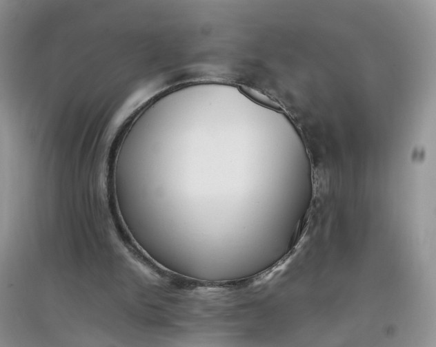 X0000097640150200803142055