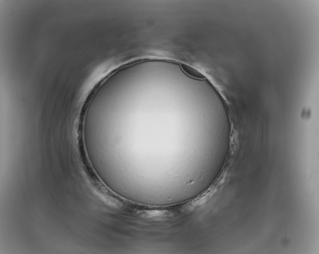 X0000097640151200803142055