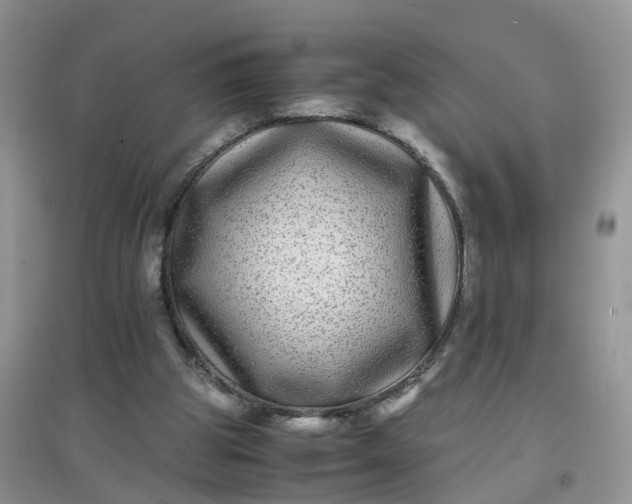 X0000097640153200803142055