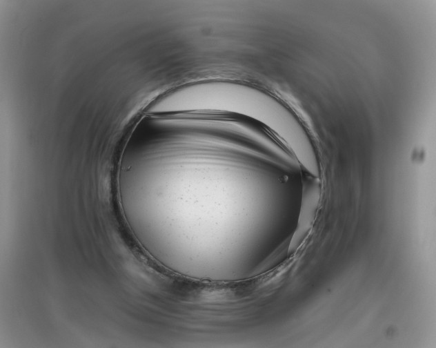 X0000097640154200803142055