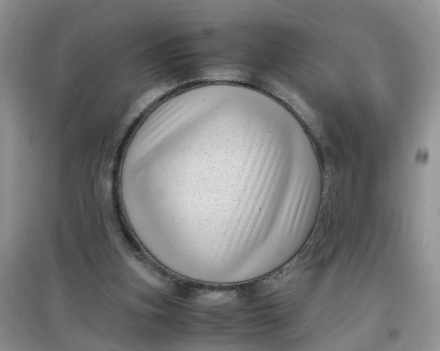 X0000097640155200803142055