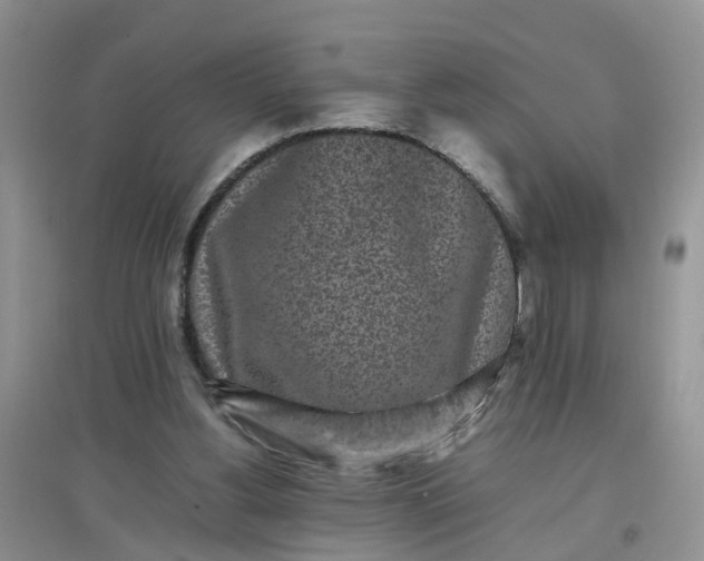 X0000097640156200803142055