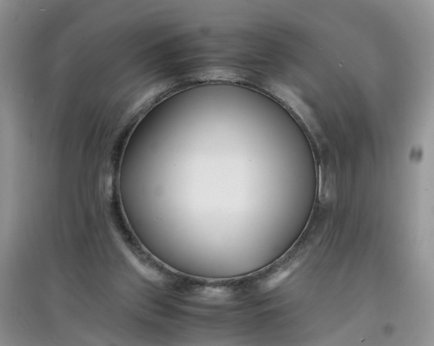 X0000097640157200803142055