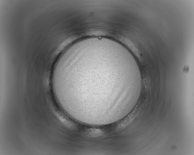 X0000097640159200803142055