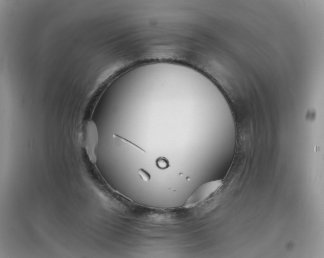 X0000097640160200803142055