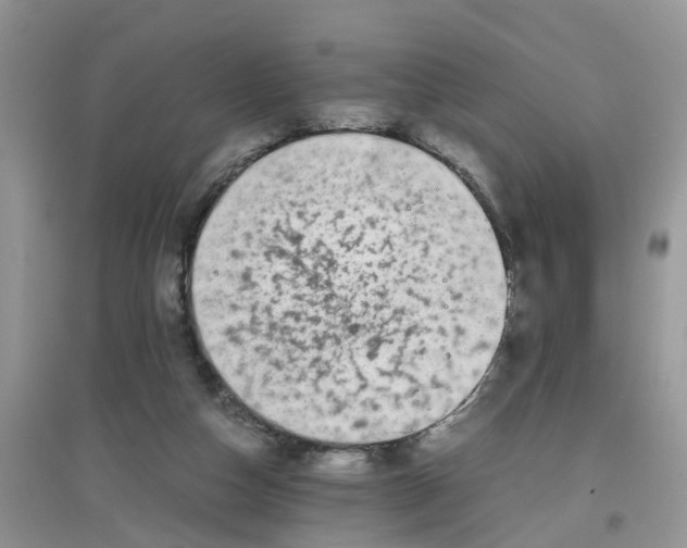 X0000097640162200803142055