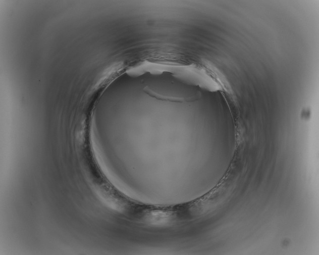 X0000097640163200803142055