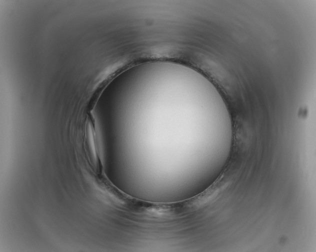 X0000097640164200803142055