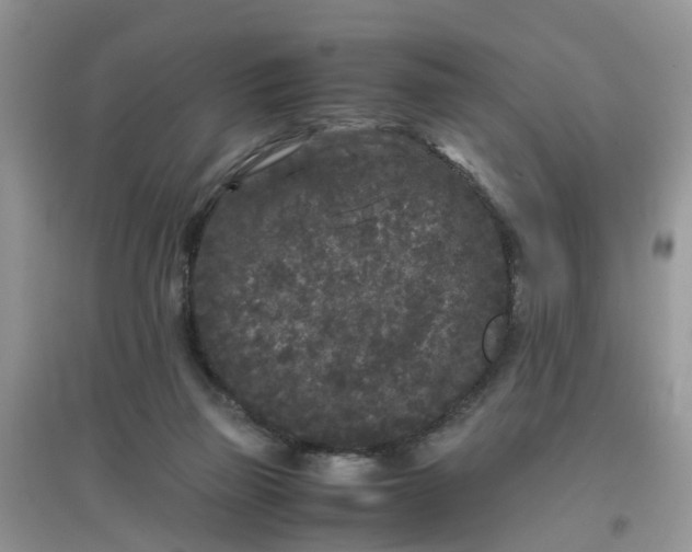 X0000097640165200803142055