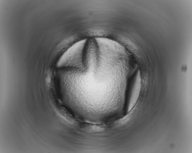 X0000097640166200803142055