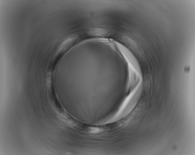 X0000097640167200803142055