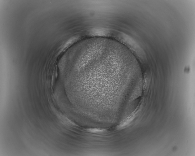 X0000097640168200803142055