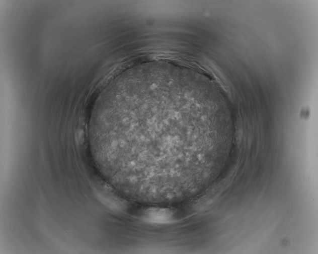 X0000097640169200803142055