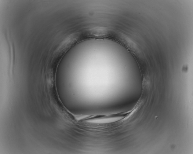 X0000097640170200803142055